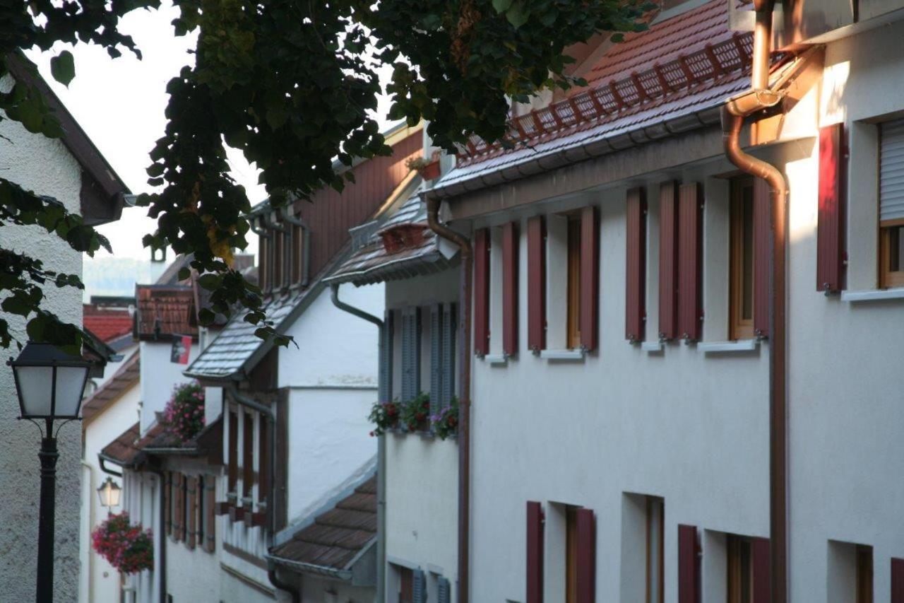 Hotel Gaestehaus Theresia Garni Muhlheim an der Donau Екстер'єр фото